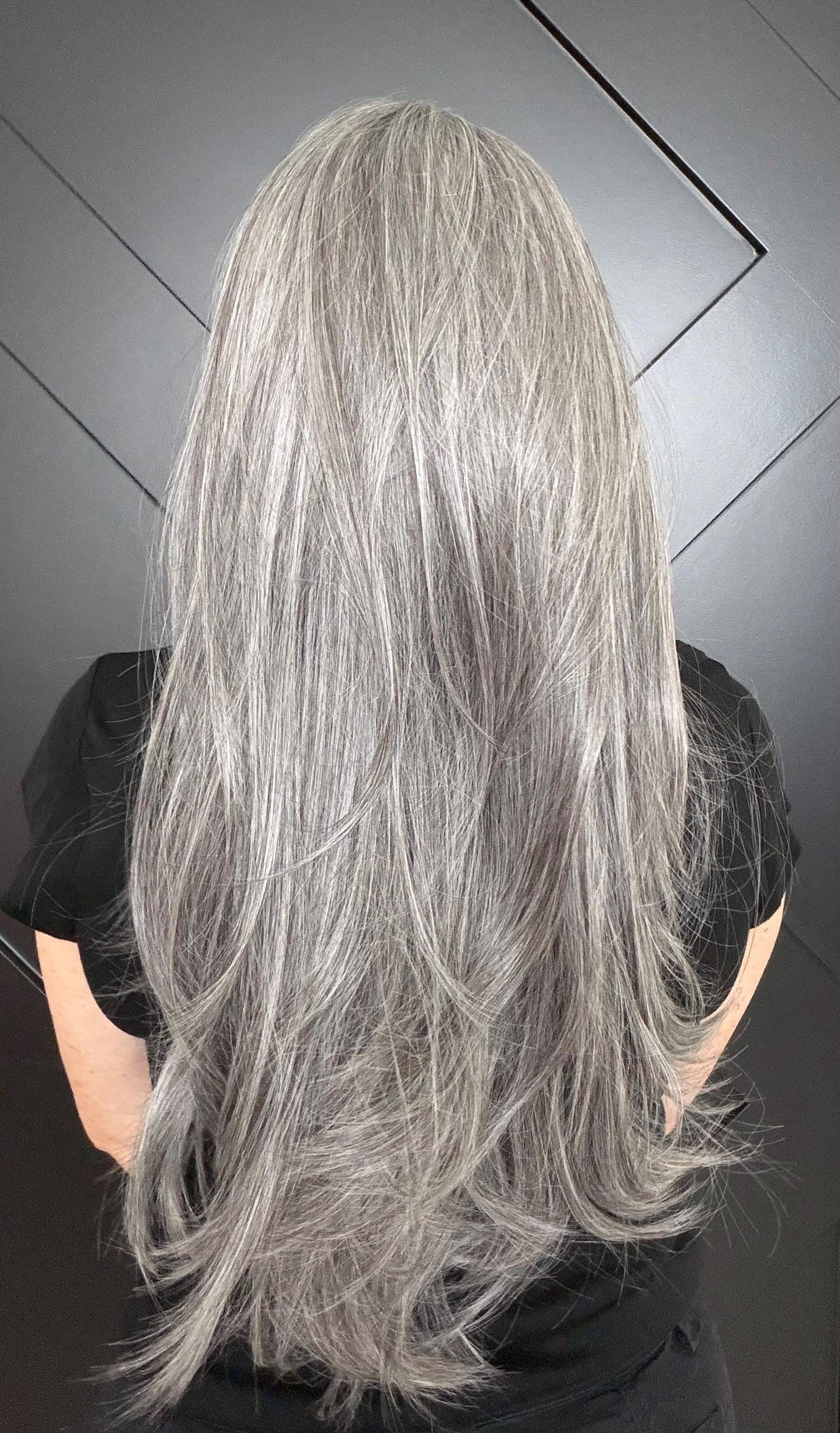 22-30" Lace Front Wig – Heat-Resistant Futura Fiber, Salt and pepper SWISS. Short length available with cut customization free part