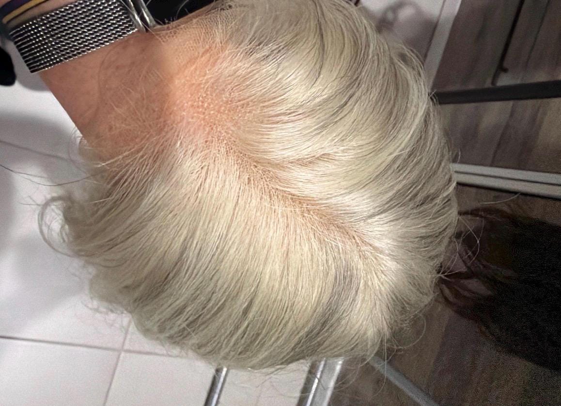 LELE 18 Human Hair Wig | Salt and Pepper lace top wig | High Density | 18” diamond net | silicone for better fit size medium