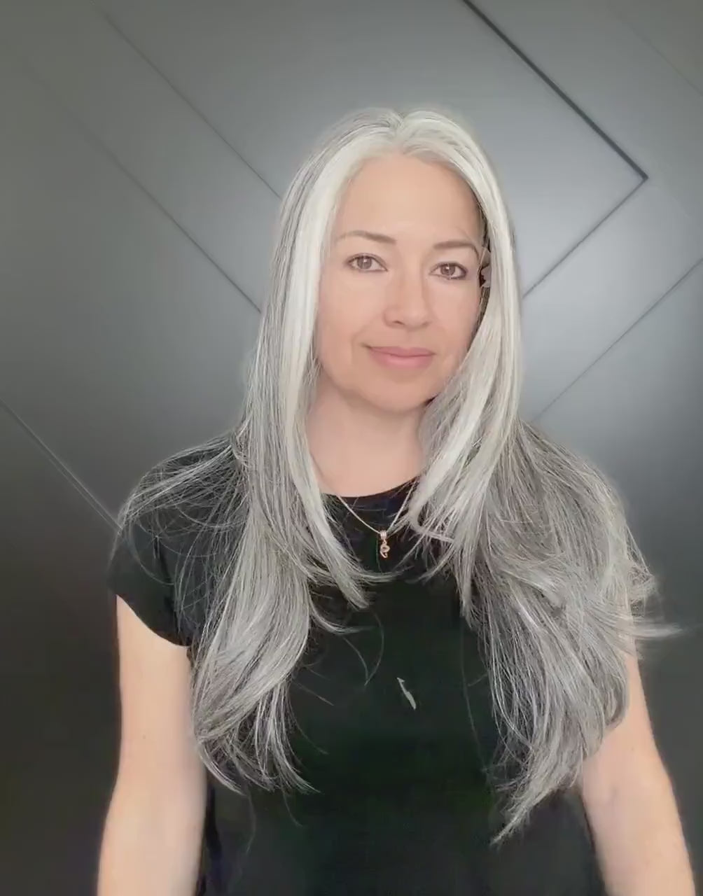 22-30" Lace Front Wig – Heat-Resistant Futura Fiber, Salt and pepper SWISS. Short length available with cut customization free part